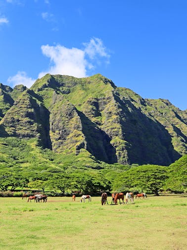 Kualoa Ranch