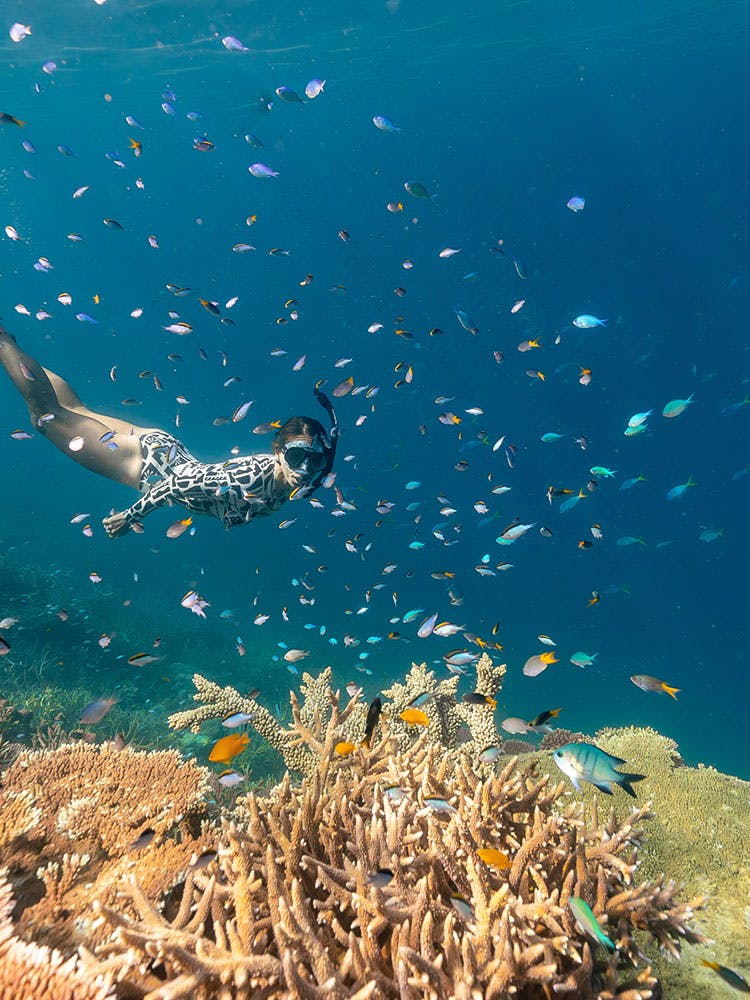 Woman snorkeling in the Great Barrier Reef