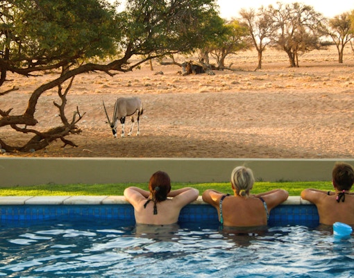 People in a pool observing a gemsbok in the African wilderness.