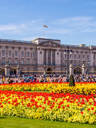 Buckingham Palace with colorful flower gardens and visitors in London.