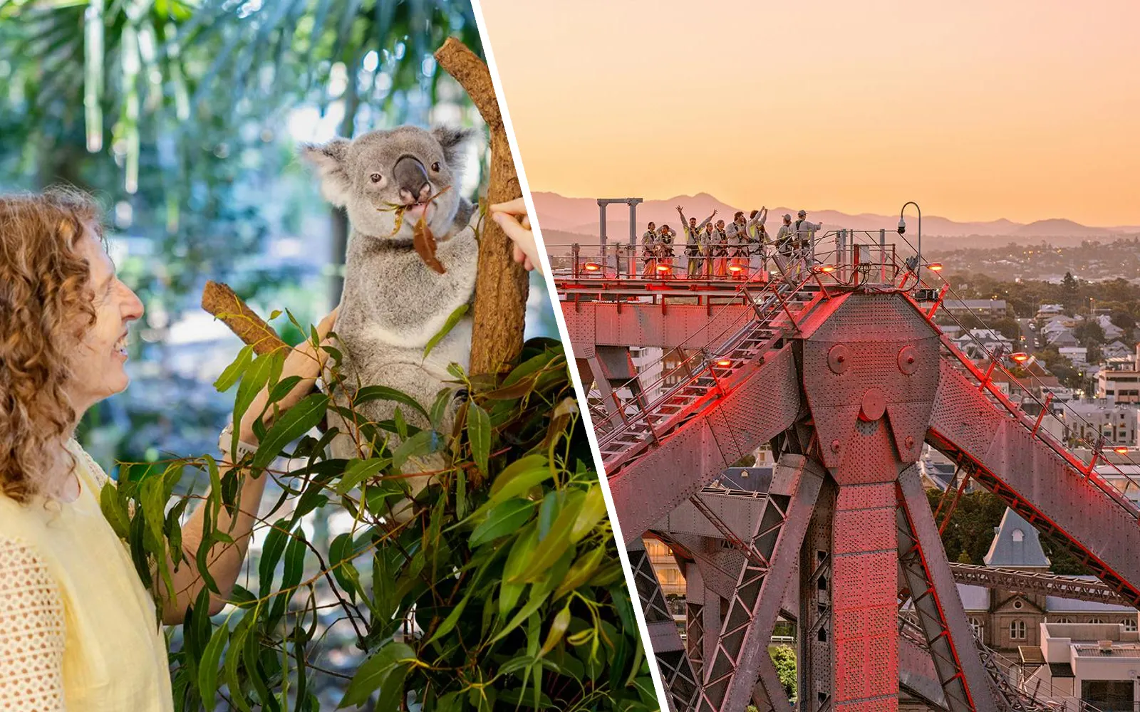 Tourists at Lone Pine Koala Sanctuary and Twilight Climbs on Story Bridge in Brisbane.