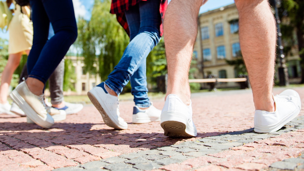 Visitor Tips - This is a Photograph of Visitor Tips