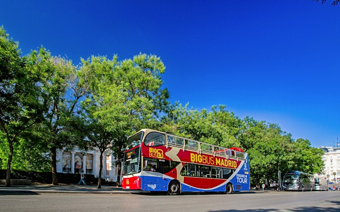 Open-top Big Bus Madrid tour bus on a sunny street with trees and buildings.