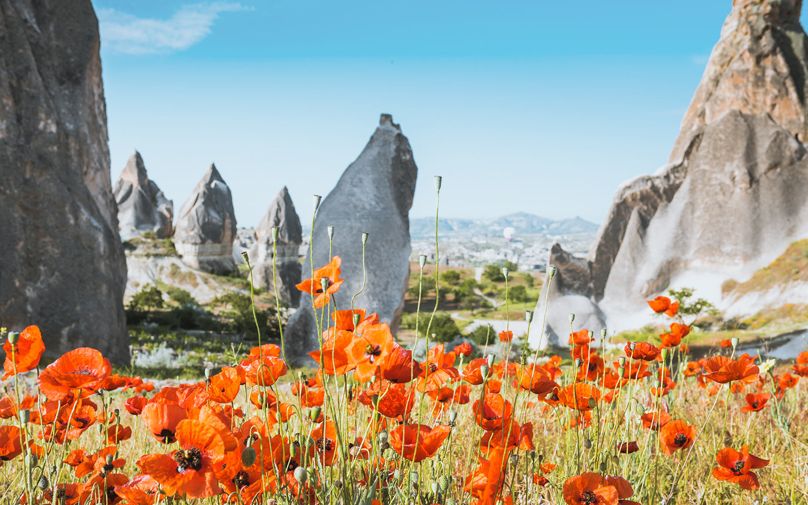 Vignobles et vergers