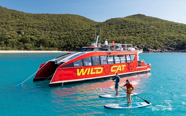 Catamaran Wildcat near Mackay with paddleboarders in clear blue water.