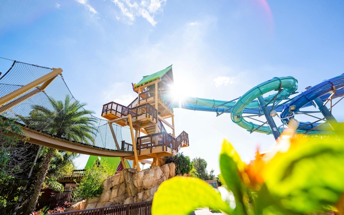 Aquatica Orlando water slide tower with bright sun and tropical plants.