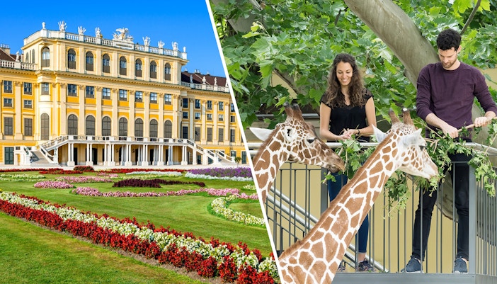 Schönbrunn Palace gardens and visitors feeding giraffes at Schönbrunn Zoo, Vienna.