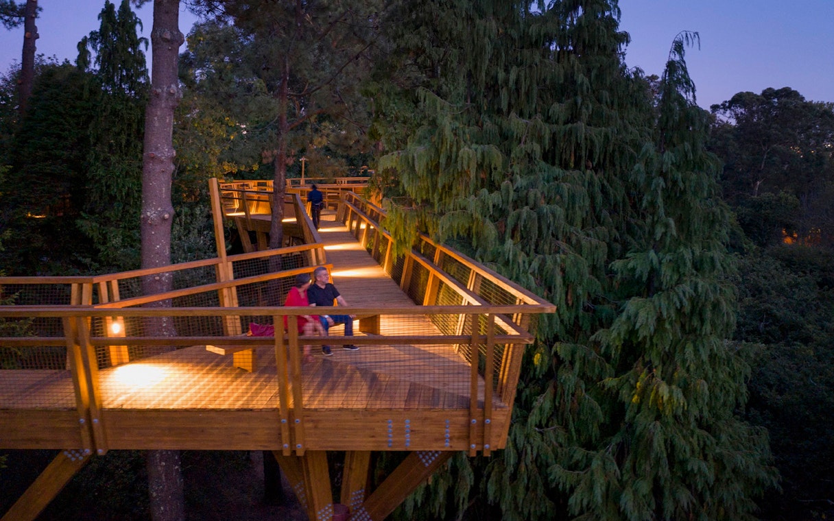 Walkway through treetops at Serralves, Porto, Portugal, with visitors enjoying the view.