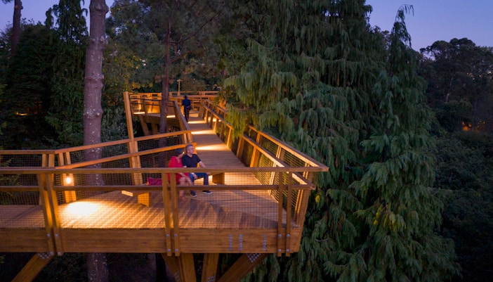 Treetop Walk