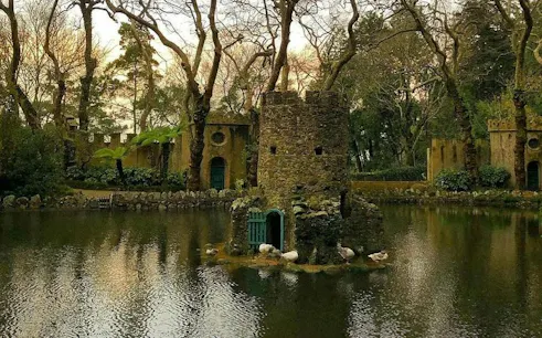 Stone tower on a pond surrounded by trees in Sintra, part of the Sintra Private Tour.