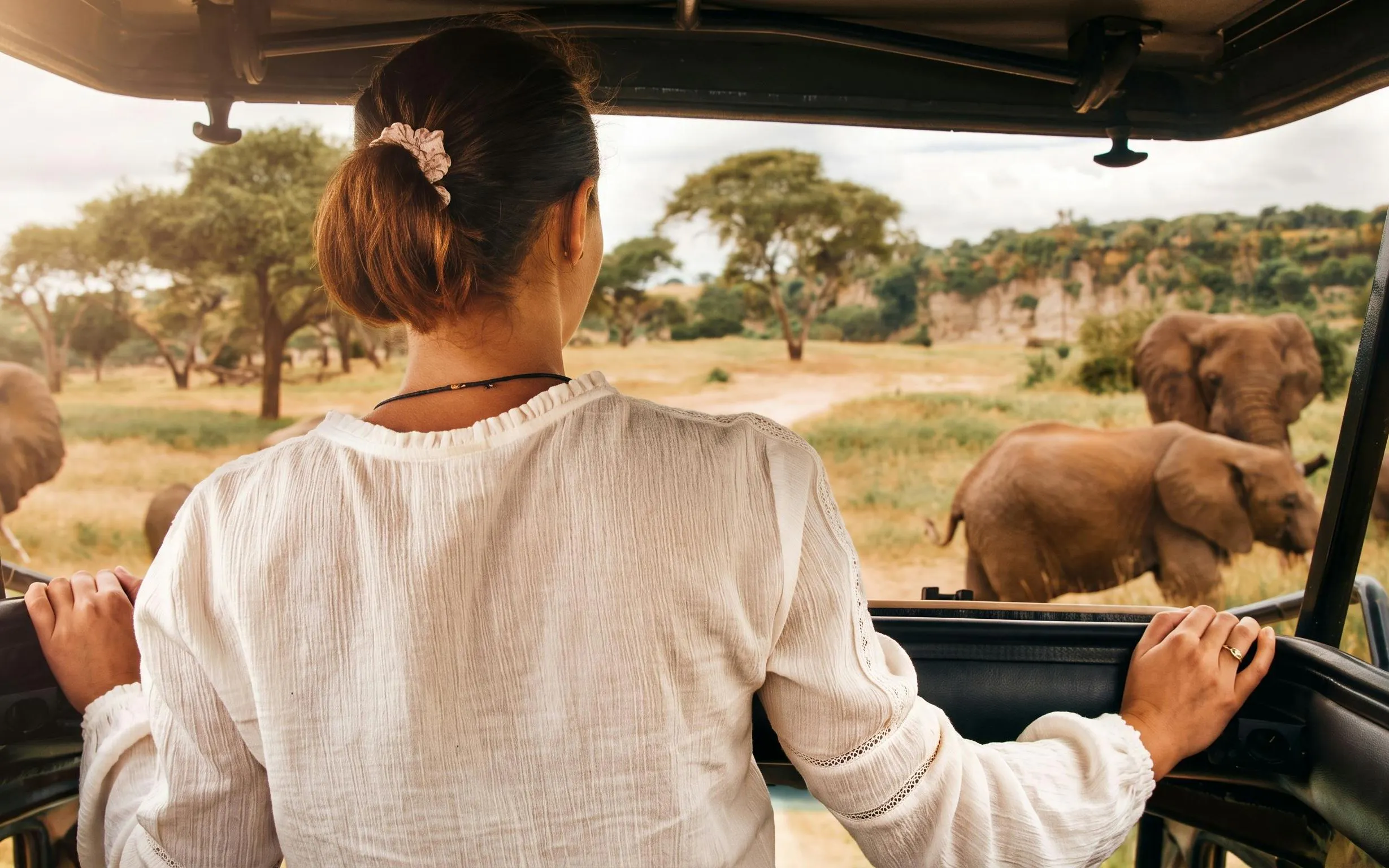 Safari vehicle observing elephants at Pilanesberg National Park.