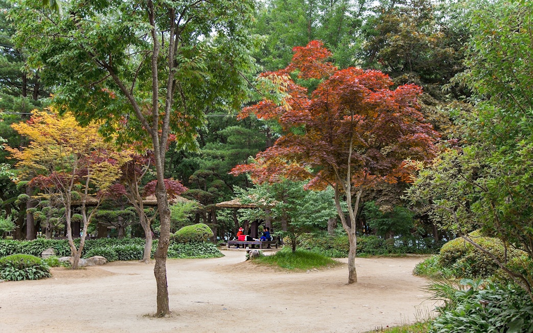 Nami Island landscape with colorful trees and visitors, filming site of Winter Sonata, South Korea.