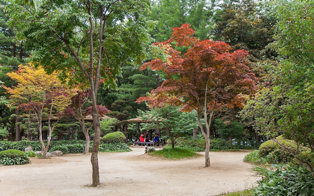 Nami Island landscape with colorful trees and visitors, filming site of Winter Sonata, South Korea.