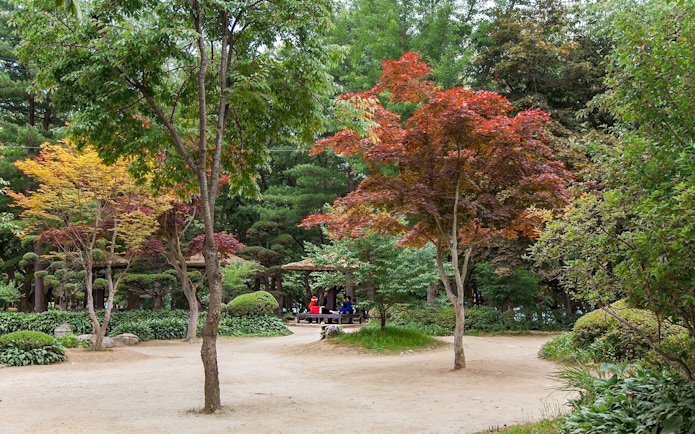 Nami Island landscape with colorful trees and visitors, filming site of Winter Sonata, South Korea.