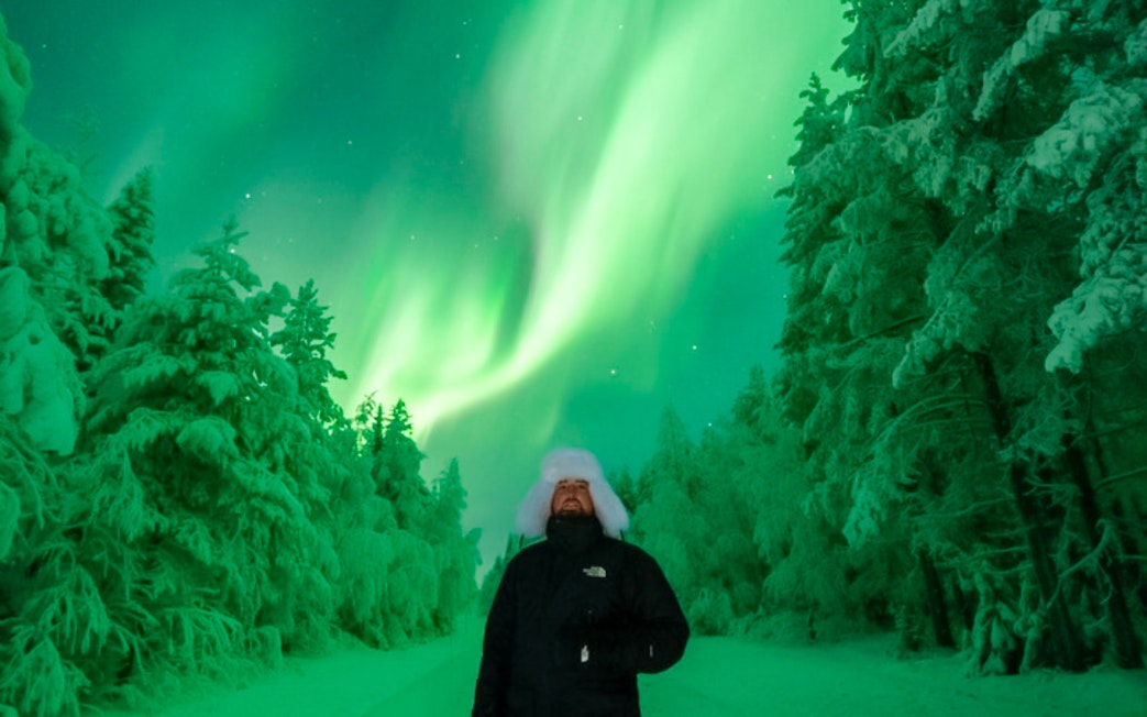 Guests viewing Northern Lights on snowy forest tour.