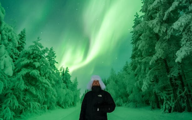 Guests viewing Northern Lights on snowy forest tour.