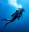 Blue Corner Dive | Immersione in apnea | Conservazione