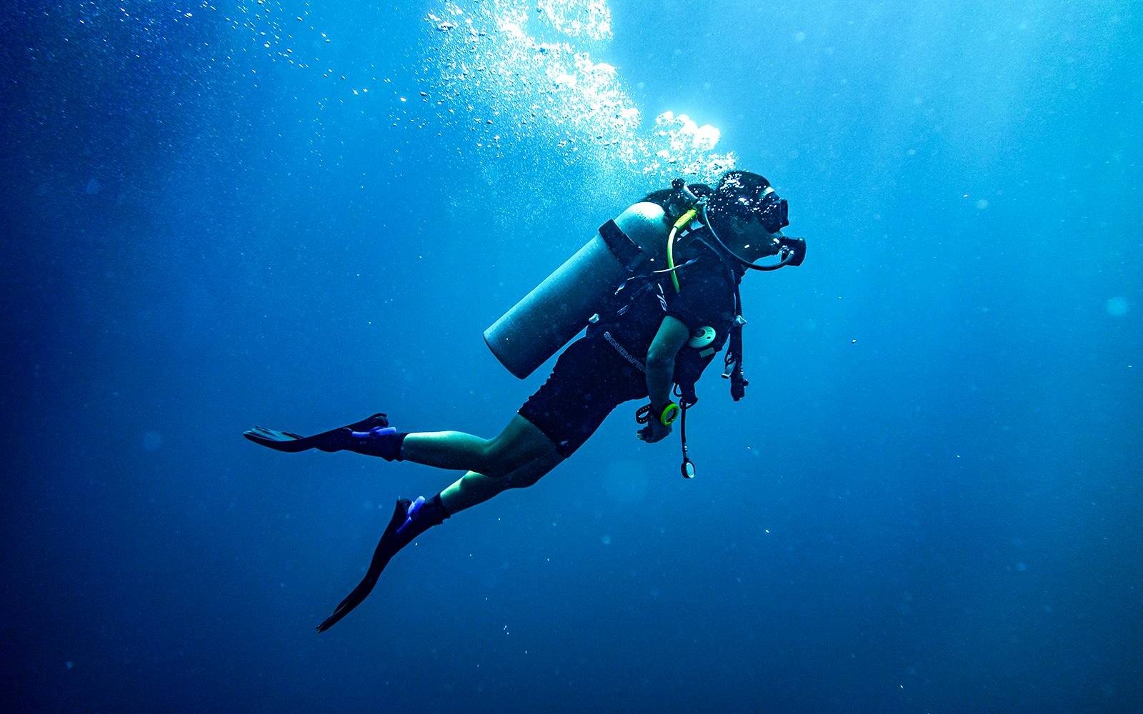 Scuba divers exploring vibrant coral reef, Great Barrier Reef, Australia.