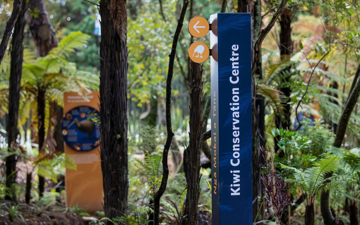 Kiwi Conservation Centre sign surrounded by lush forest at Te Puia, New Zealand.