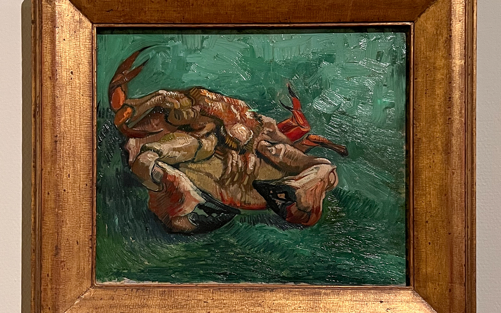 A crab on its back at the van gogh musuem