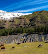 Cajón del Maipo