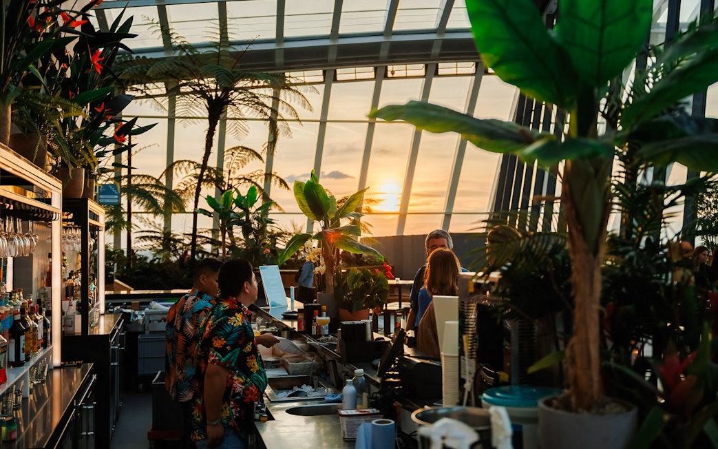 Guests enjoying sunset at Sky Garden bar during Music Night.