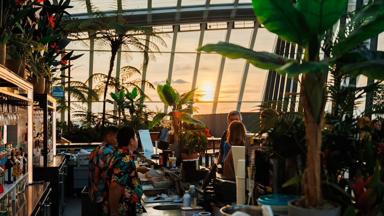 Guests enjoying sunset at Sky Garden bar during Music Night.