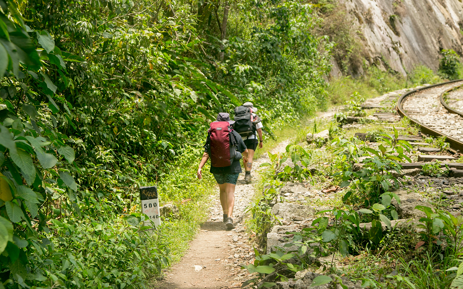 Hikers hiking from Santa Teresa Hidroeléctrica to Aguas Calientes to reach Machupichu.