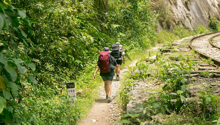 Hikers hiking from Santa Teresa Hidroeléctrica to Aguas Calientes to reach Machupichu.