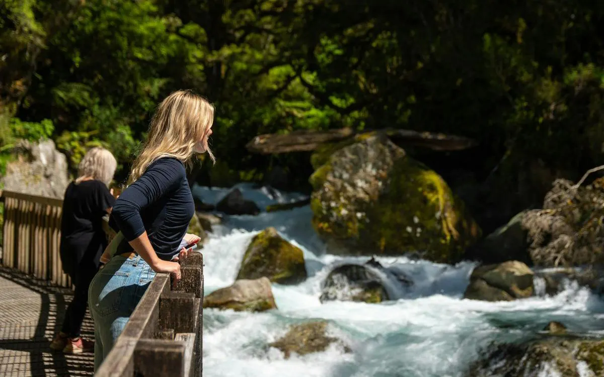 Visitors on a bridge overlooking a river in Milford Sound, surrounded by lush greenery.