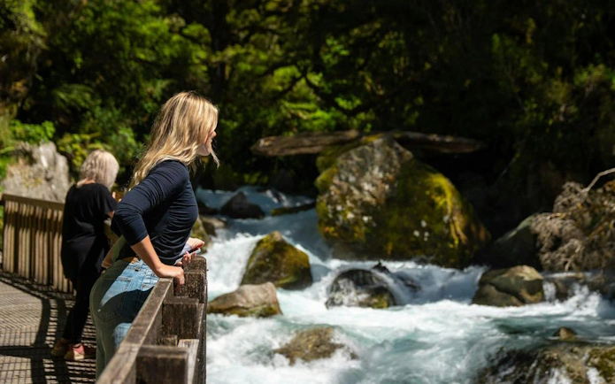 Visitors on a bridge overlooking a river in Milford Sound, surrounded by lush greenery.