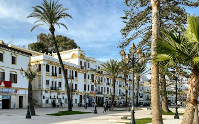 Buildings along Avenue Mohammed VI in Tangier with palm trees and street lamps.