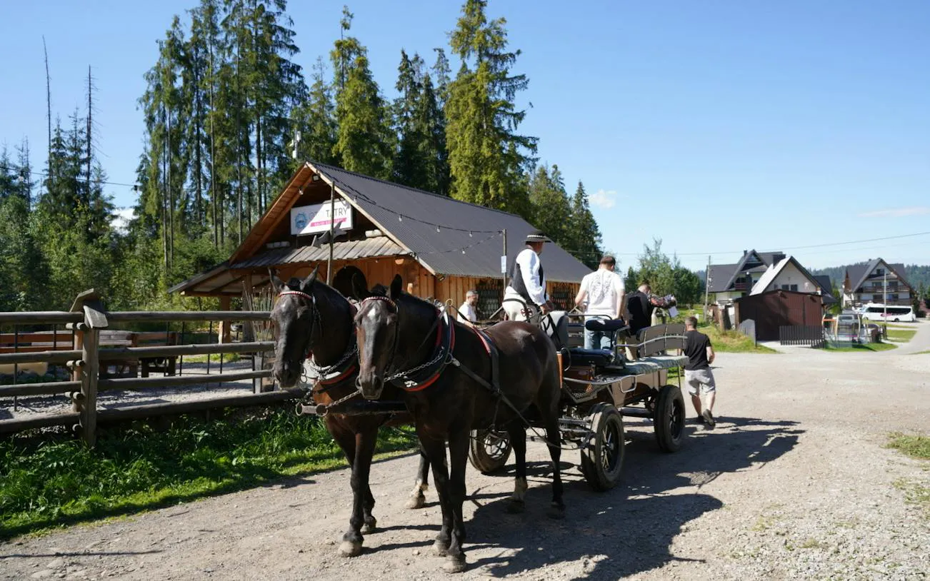 Horse-drawn sleigh ride in Poronin, near Zakopane, with wooden cabin and forest backdrop.
