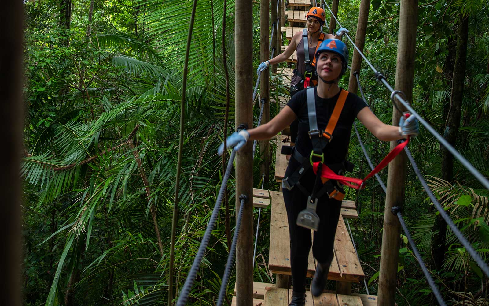 Participants on a zipline tour in Daintree Rainforest, Australia.
