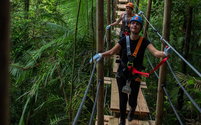 Participants on a zipline tour in Daintree Rainforest, Australia.
