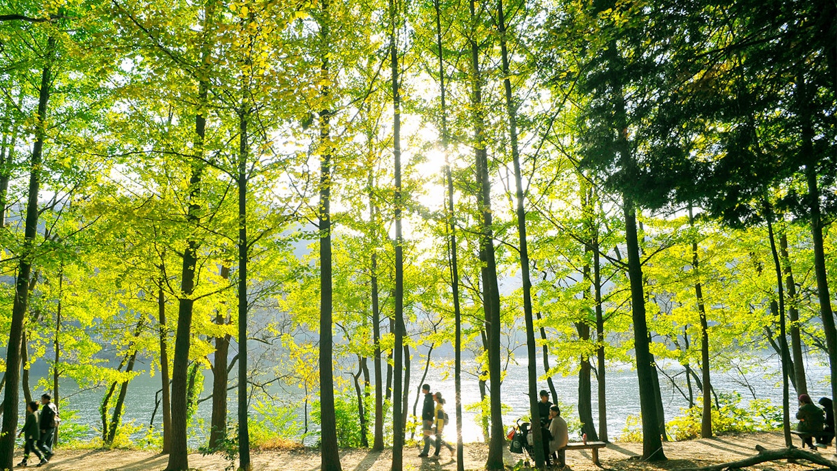 Visit to Nami Island