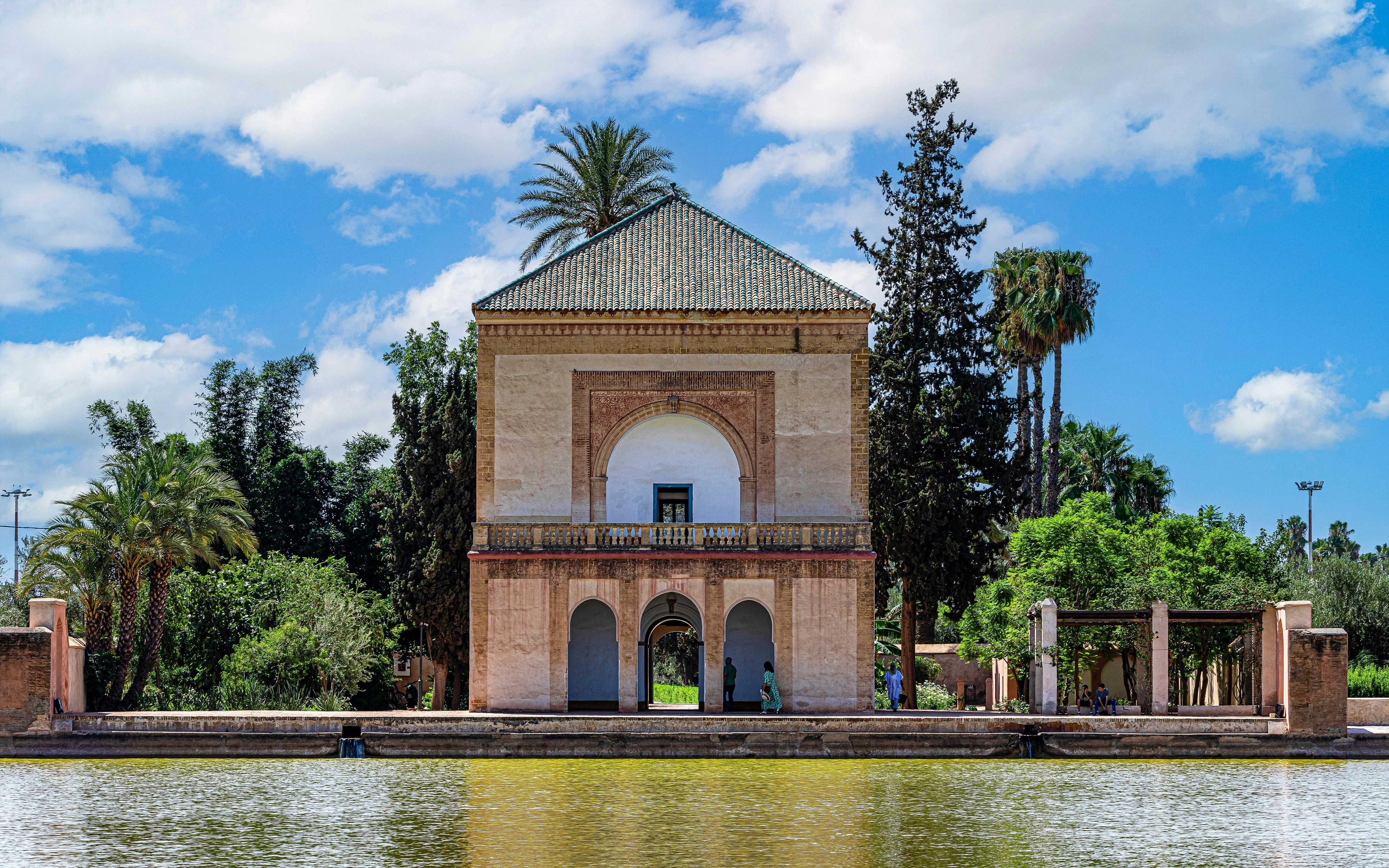 Olive groves and open sky