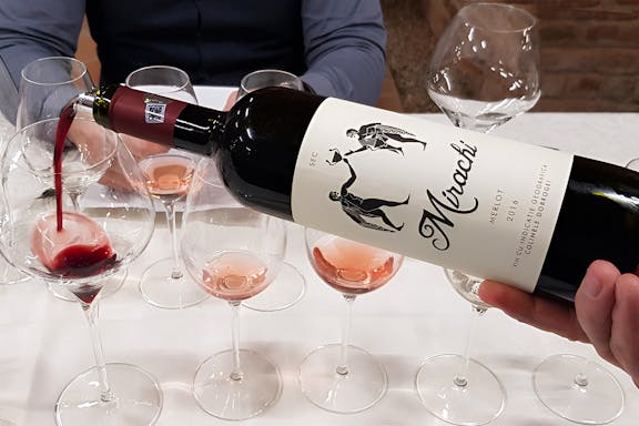 guided tour of dobrogea & wine tasting at histria winery-6