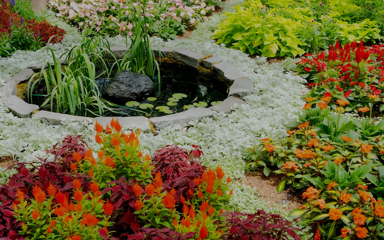 Colorful flower garden with pond at Van Gogh’s Flowers exhibit, NYBG.