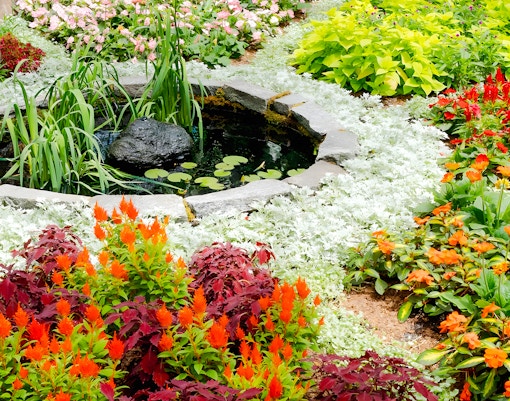 Colorful flower garden with pond at Van Gogh’s Flowers exhibit, NYBG.
