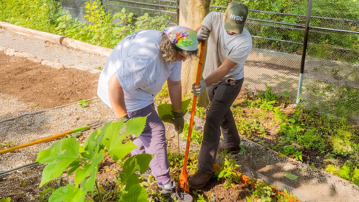 Volunteers working on a garden project at Bronx Green-Up event by NYBG.