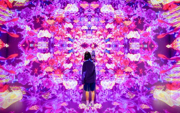 Visitors engaging with digital art installations at House of Hype, New York City.