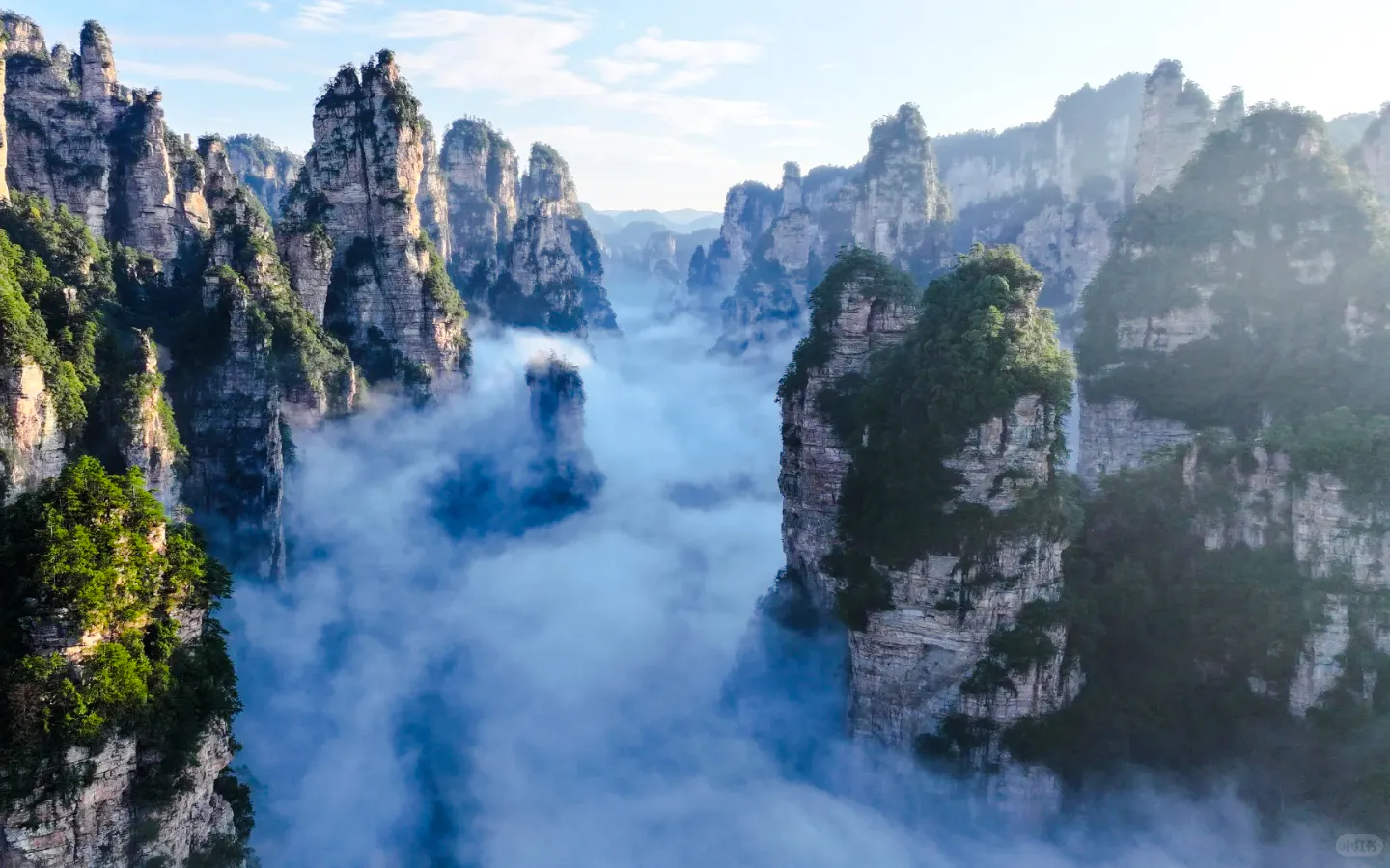 Zhangjiajie's towering sandstone pillars shrouded in mist, Avatar Mountains, China.