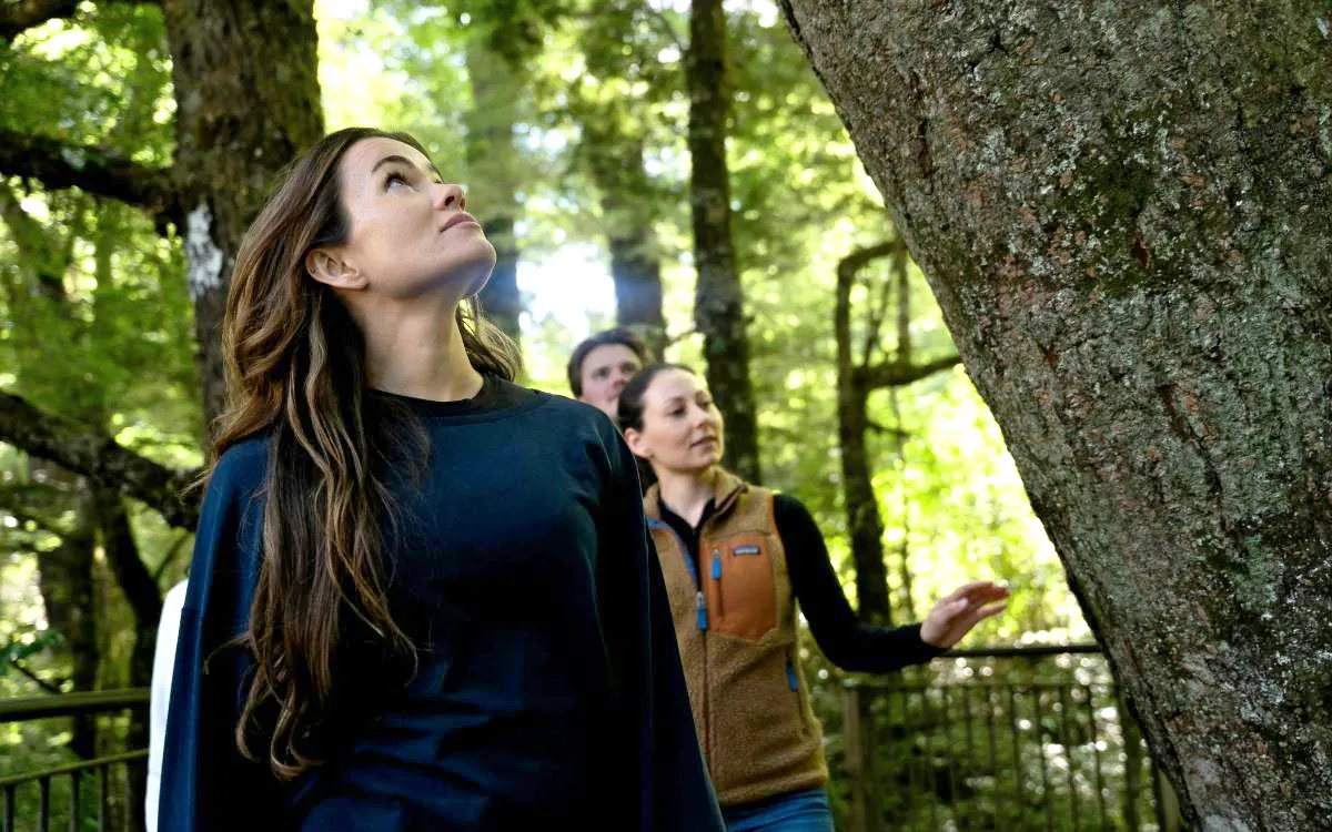 Group exploring forest near Milford Sound, New Zealand.