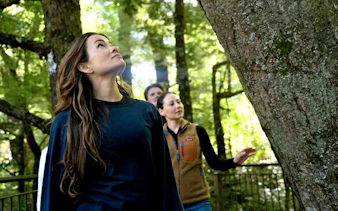 Group exploring forest near Milford Sound, New Zealand.
