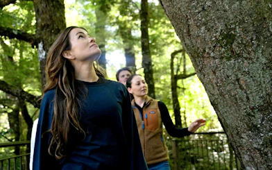 Group exploring forest near Milford Sound, New Zealand.