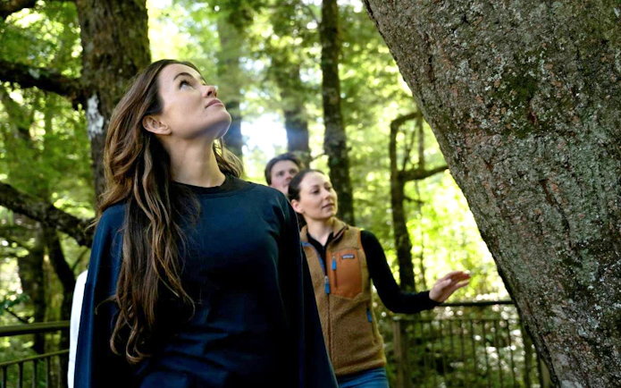 Group exploring forest near Milford Sound, New Zealand.