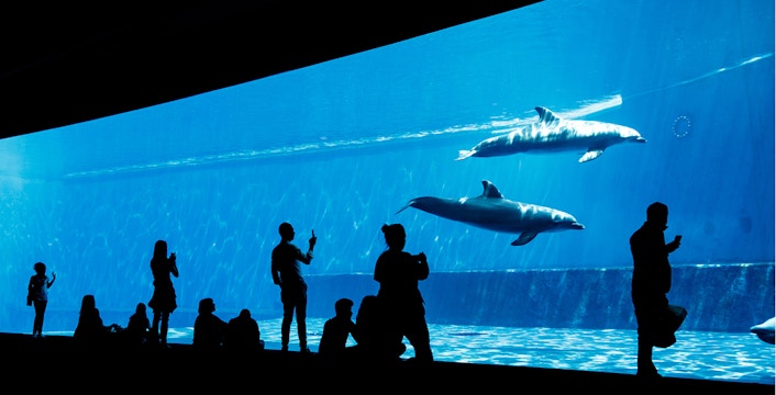 Genoa Aqarium