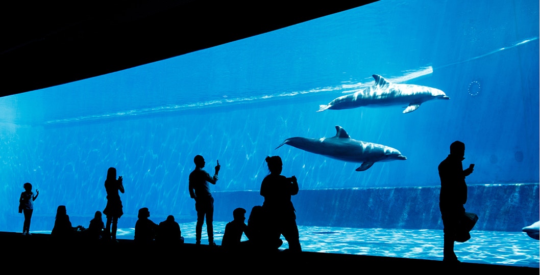 Genoa Aqarium