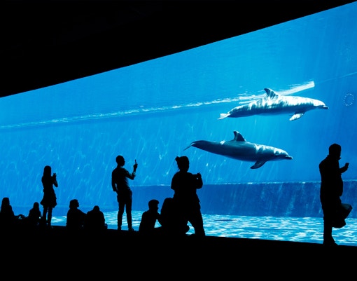 Genoa Aquarium - Biodiversity Pavillion